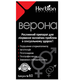 Верона №
